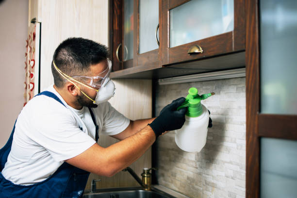 Best Wildlife Control Services  in Overland, MO