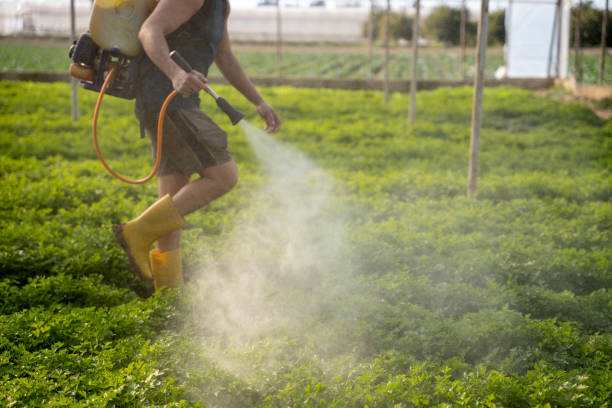 Best Affordable Pest Control Services  in Overland, MO