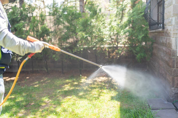 Best Mosquito Control Services  in Overland, MO
